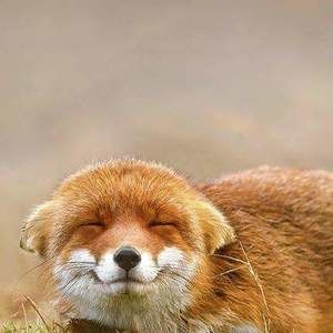 Meet your Posher, Cynthia